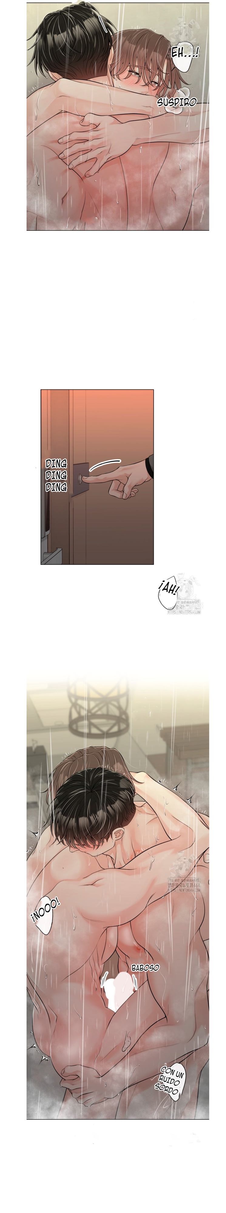 13 De elección a elección