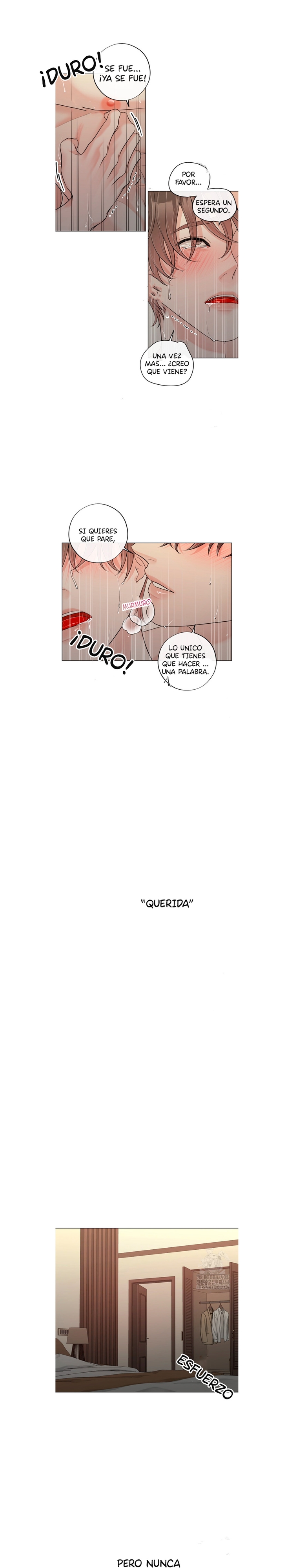 13 De elección a elección