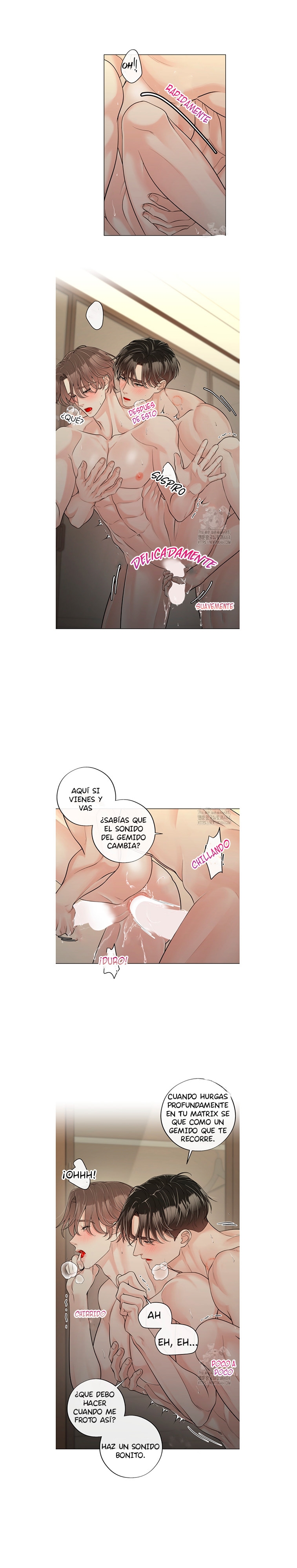 9 De elección a elección