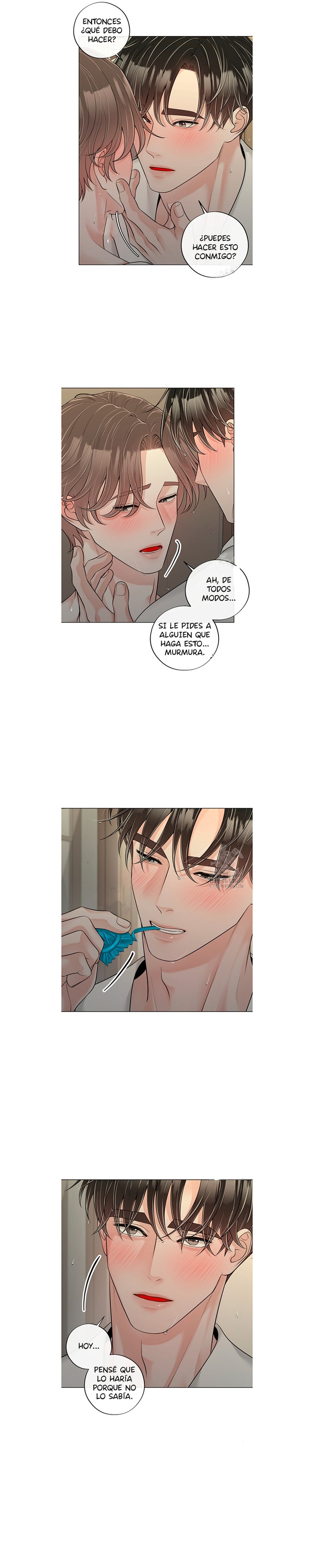 5 De elección a elección