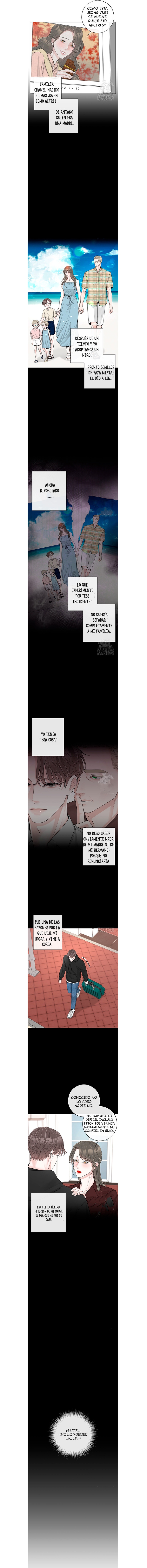 13 De elección a elección