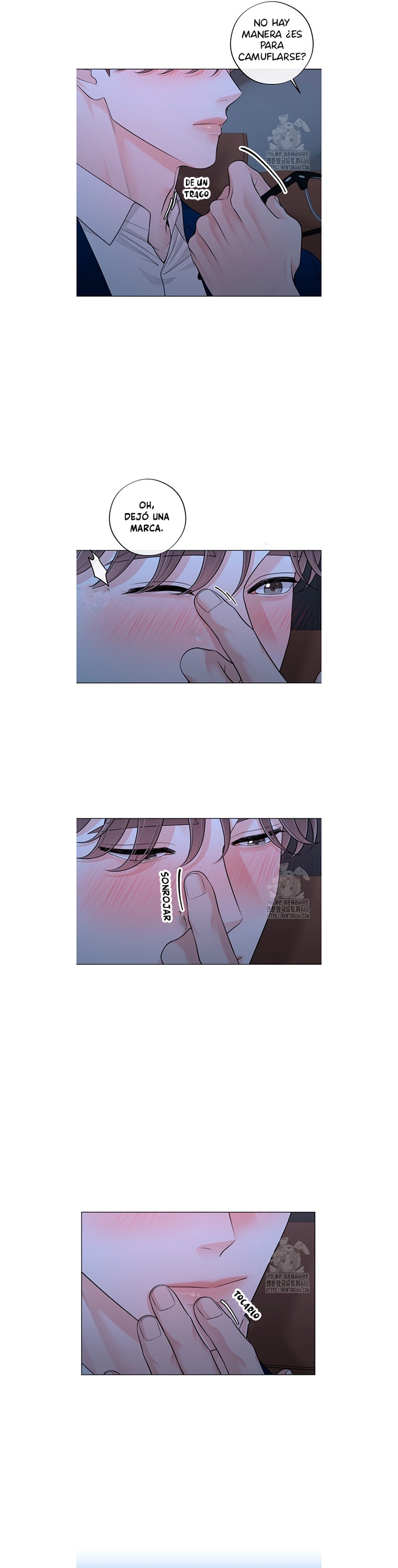 15 De elección a elección