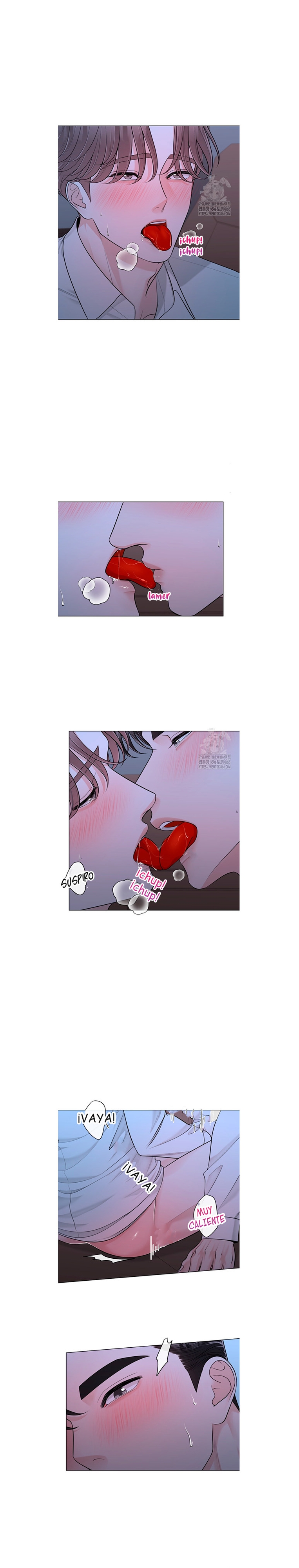 4 De elección a elección