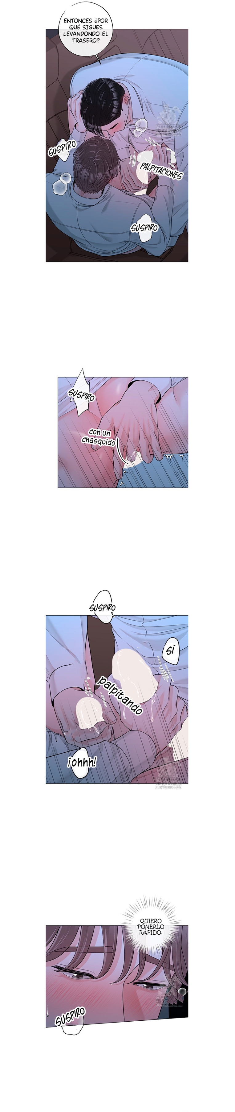 6 De elección a elección