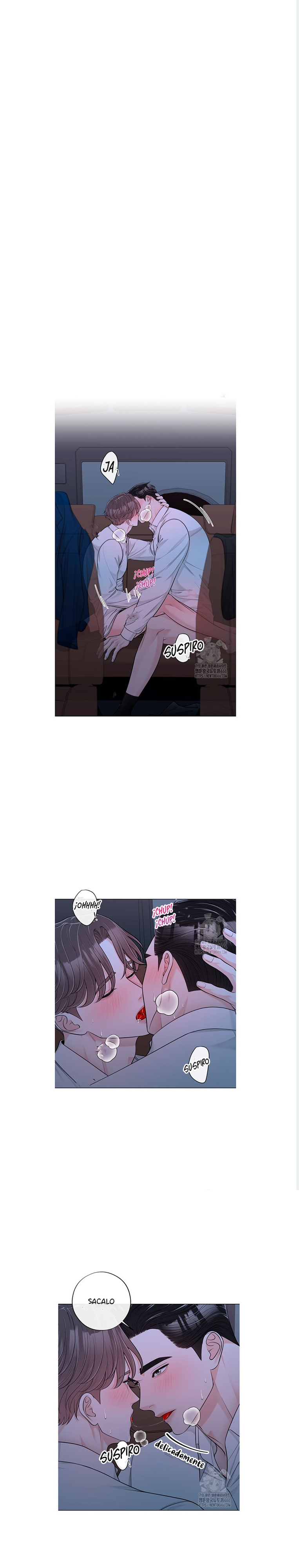 3 De elección a elección