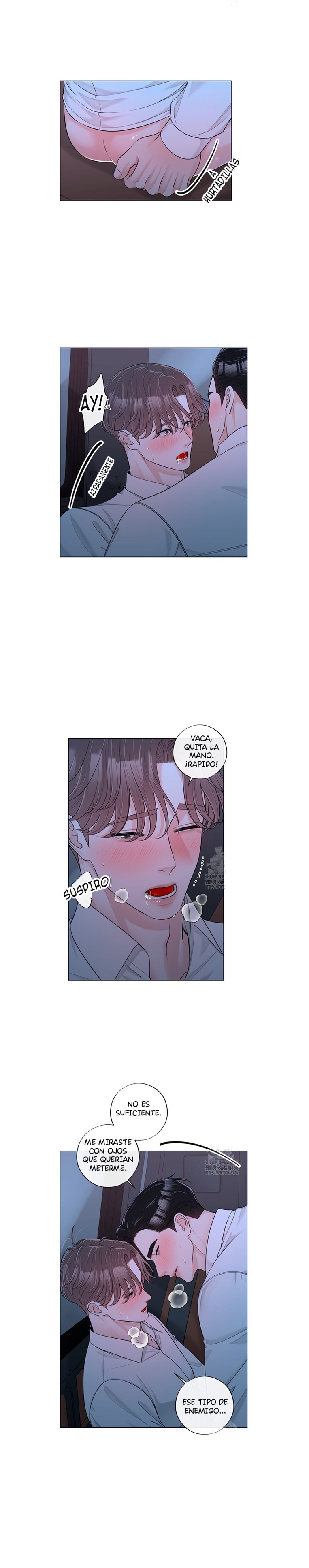 5 De elección a elección