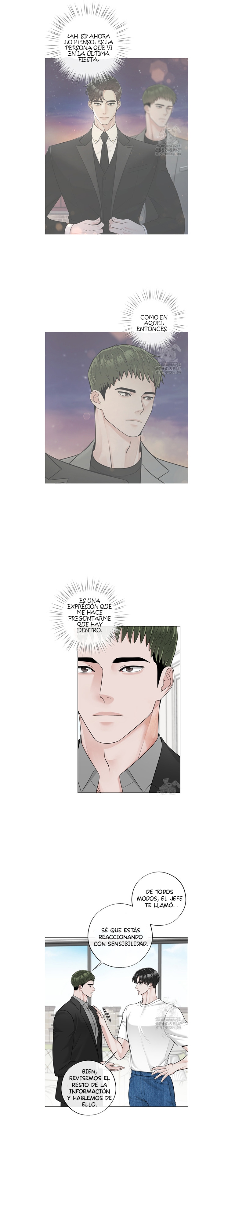 5 De elección a elección