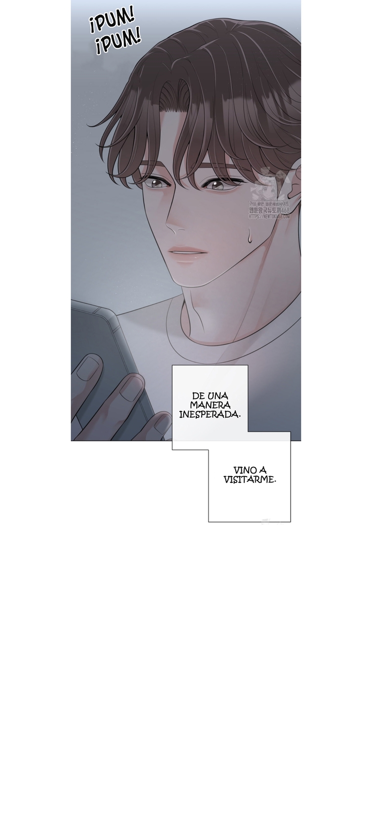 28 De elección a elección