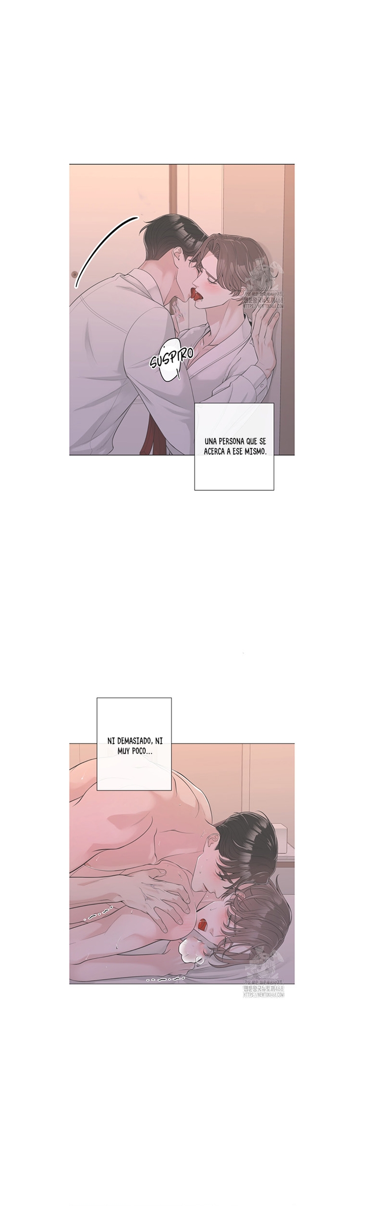 8 De elección a elección