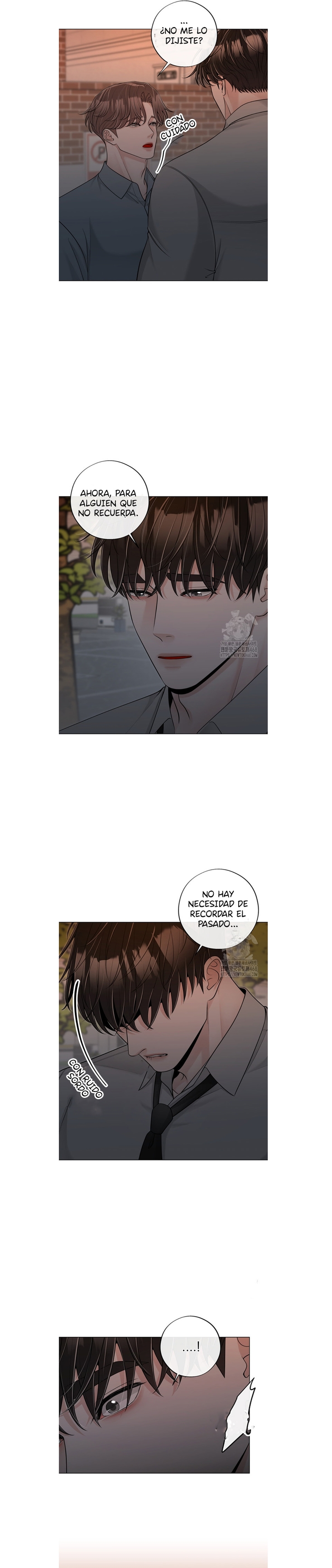 17 De elección a elección