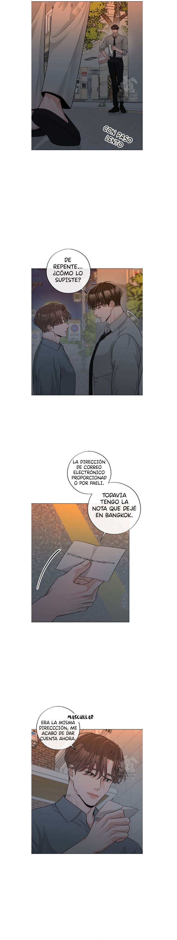 16 De elección a elección