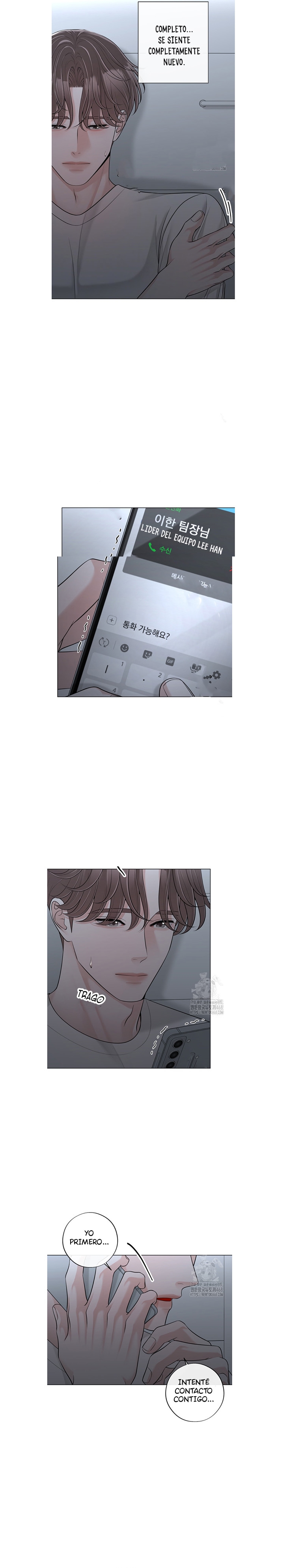 4 De elección a elección