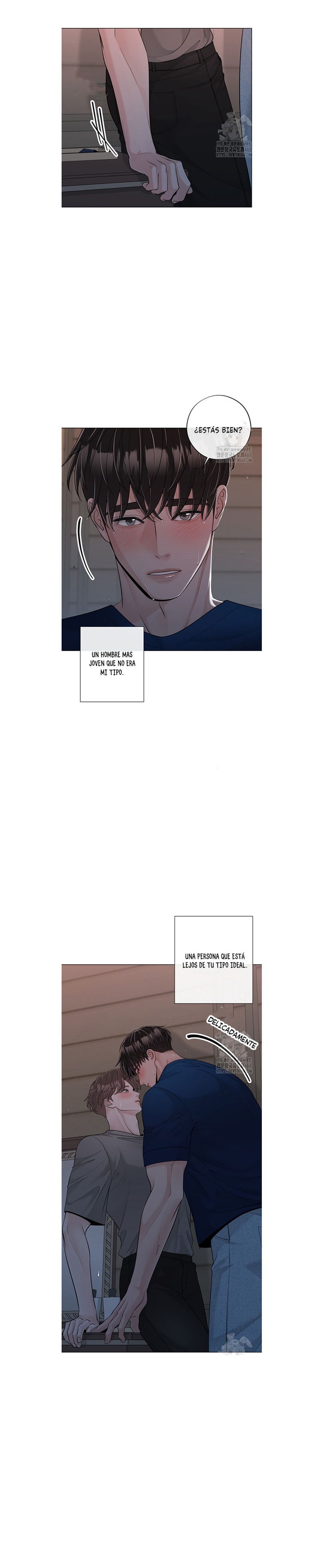 18 De elección a elección