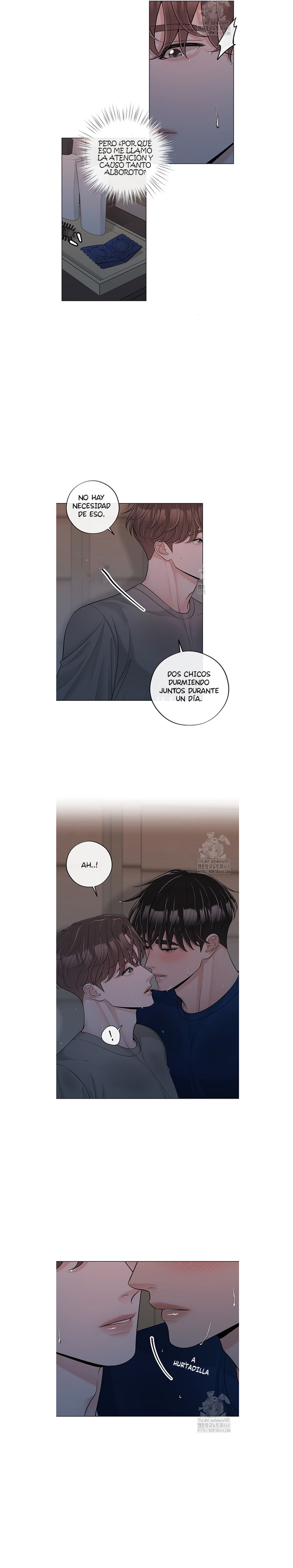 17 De elección a elección