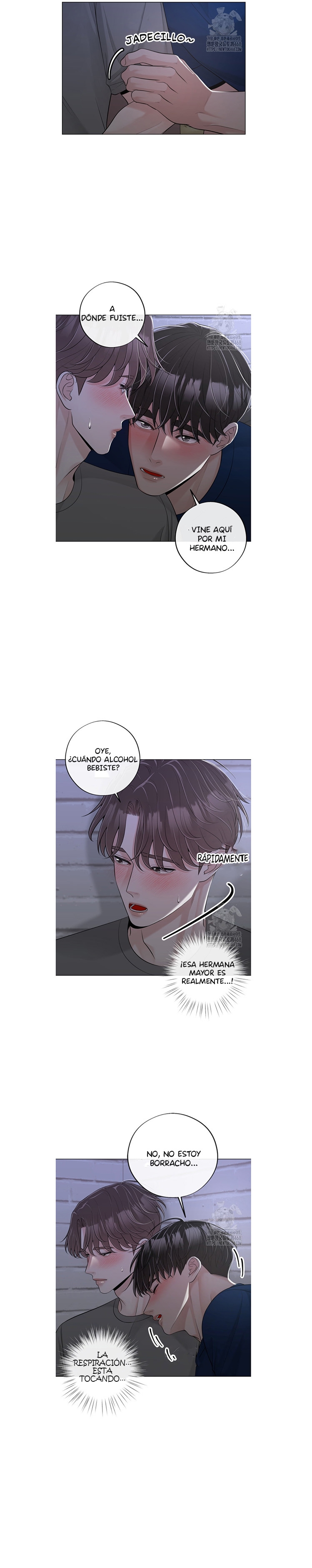 14 De elección a elección