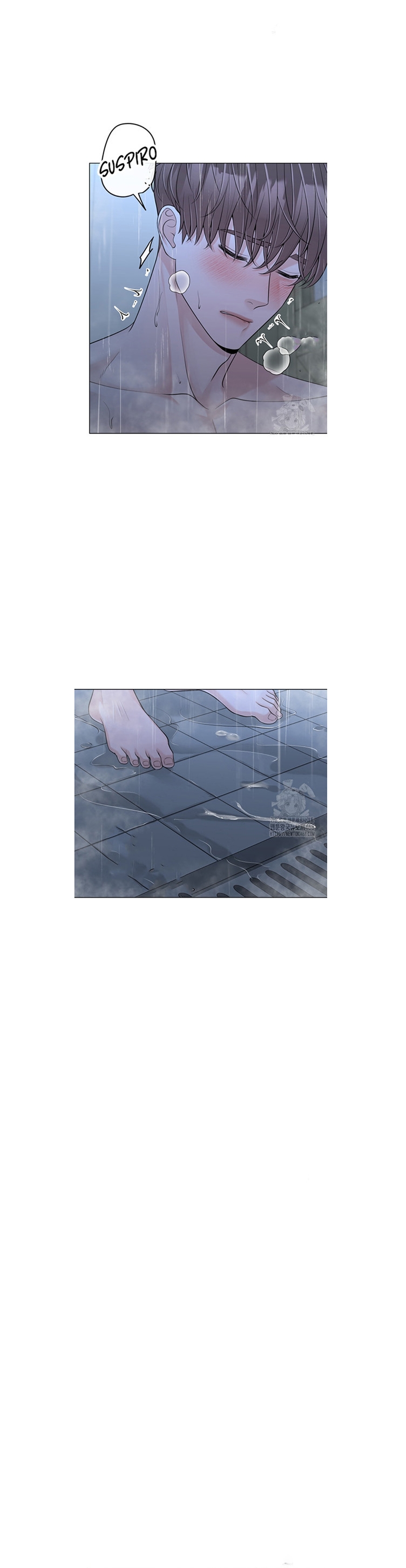 18 De elección a elección