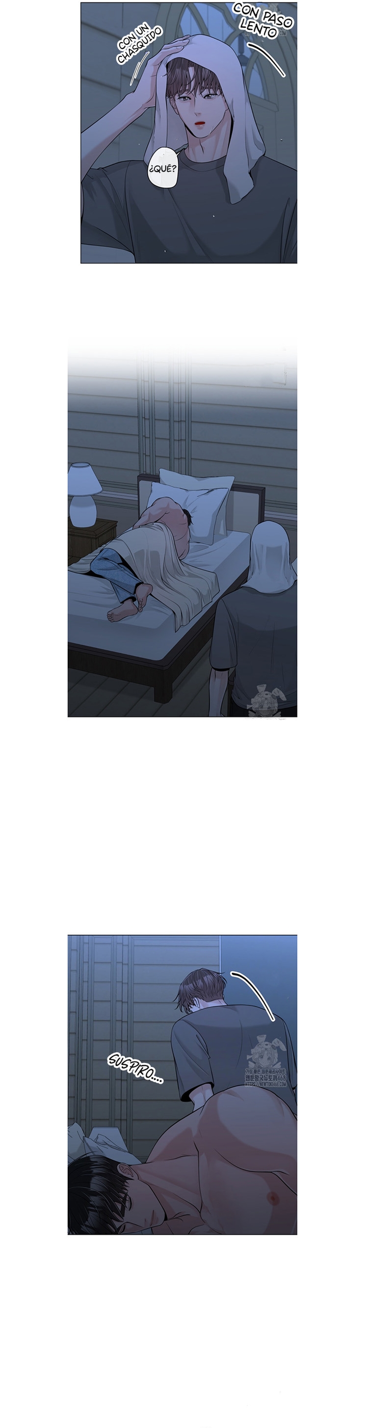 19 De elección a elección