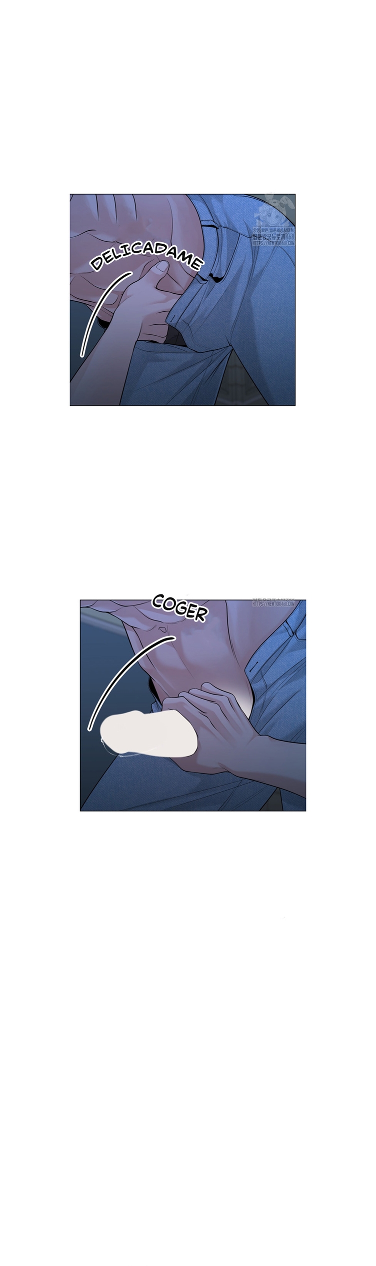 22 De elección a elección