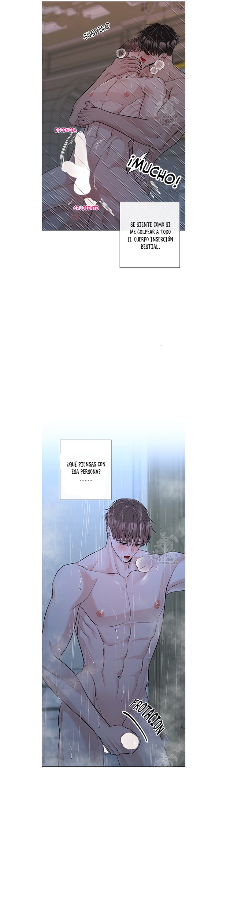 16 De elección a elección