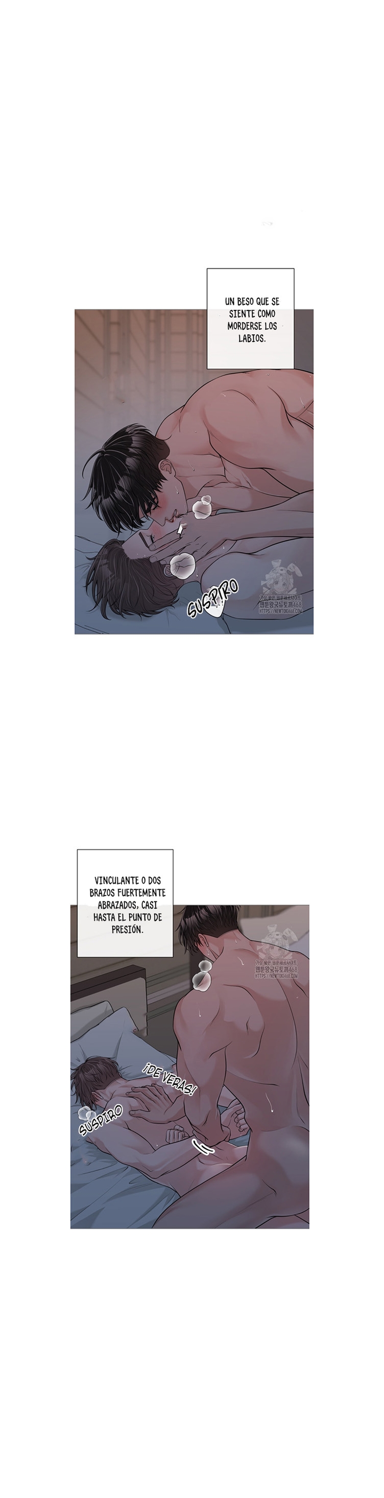 15 De elección a elección