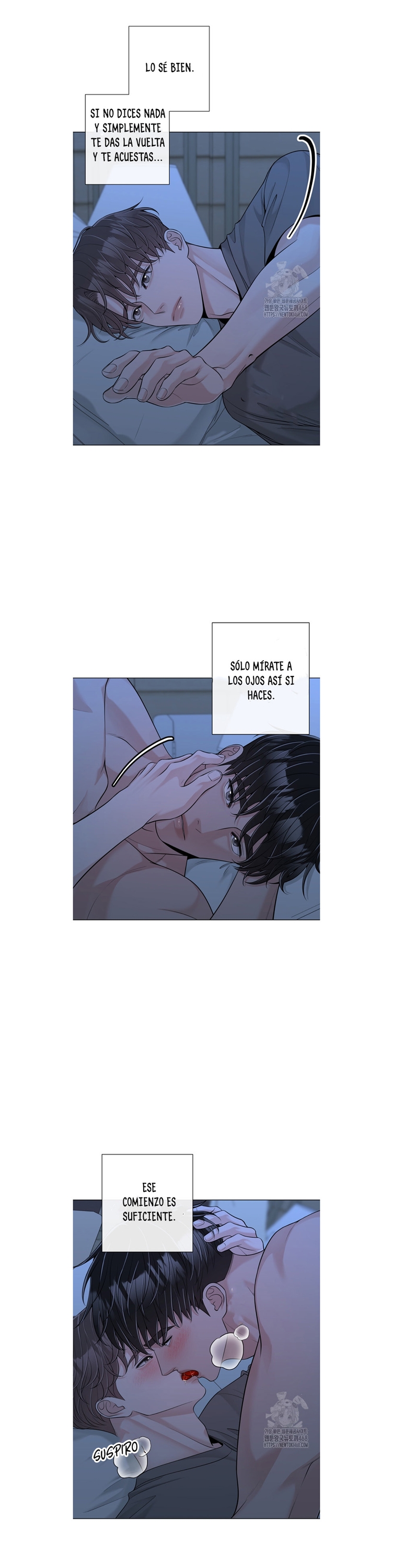 21 De elección a elección