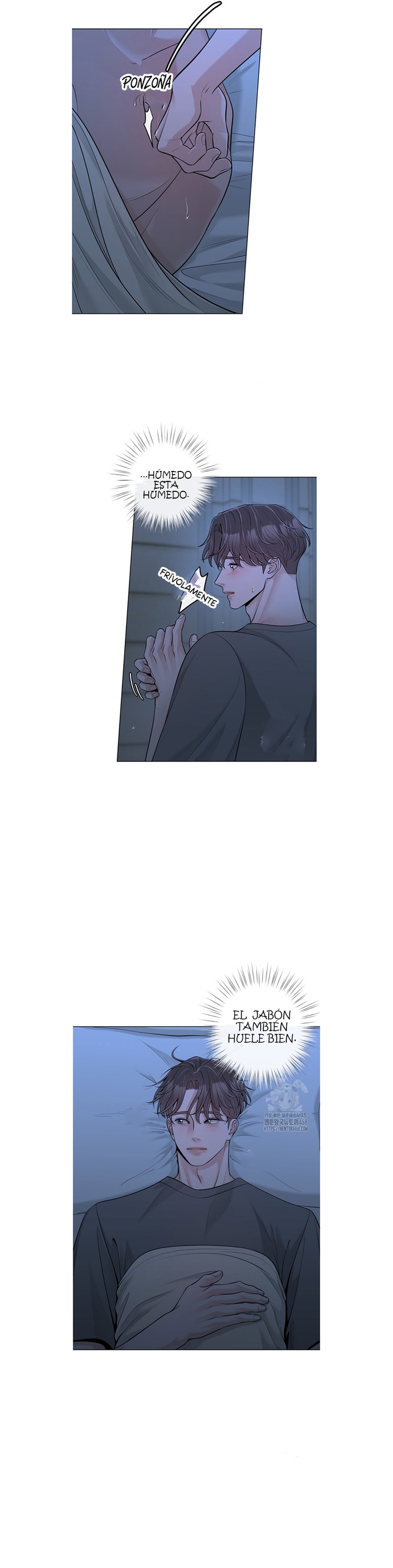 20 De elección a elección