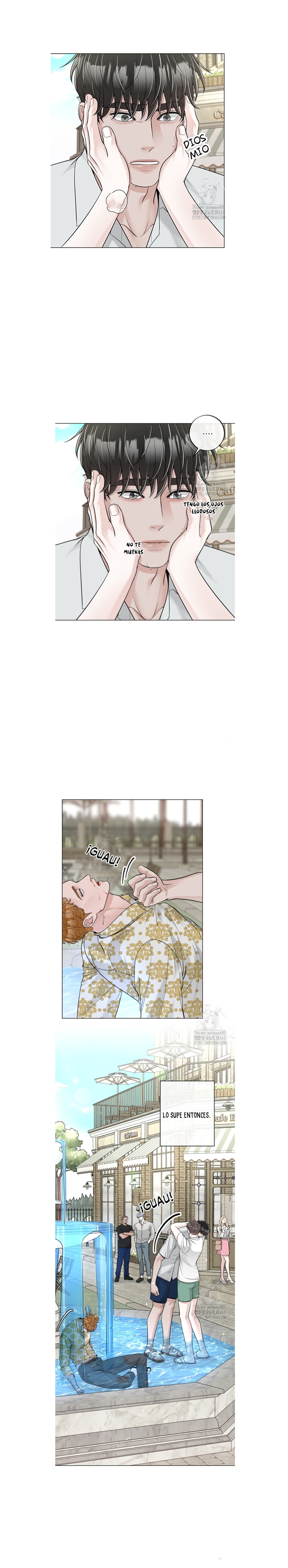 15 De elección a elección