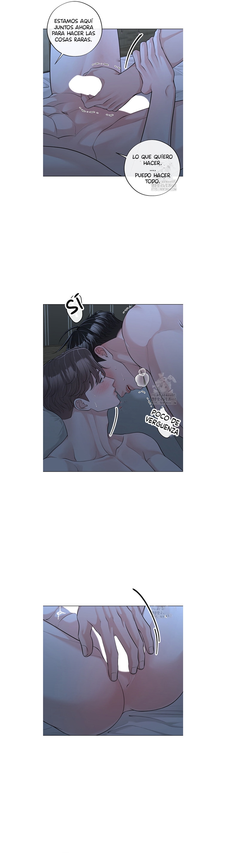 12 De elección a elección