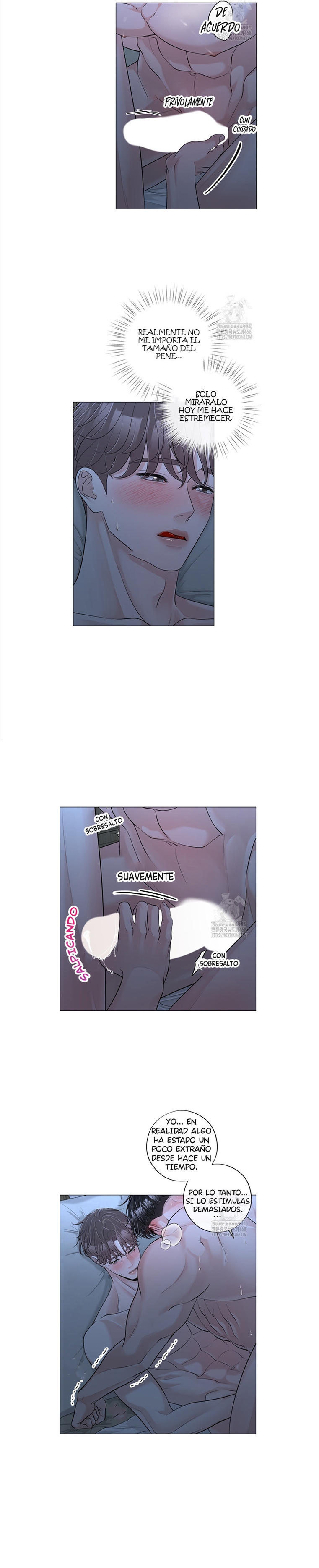 11 De elección a elección