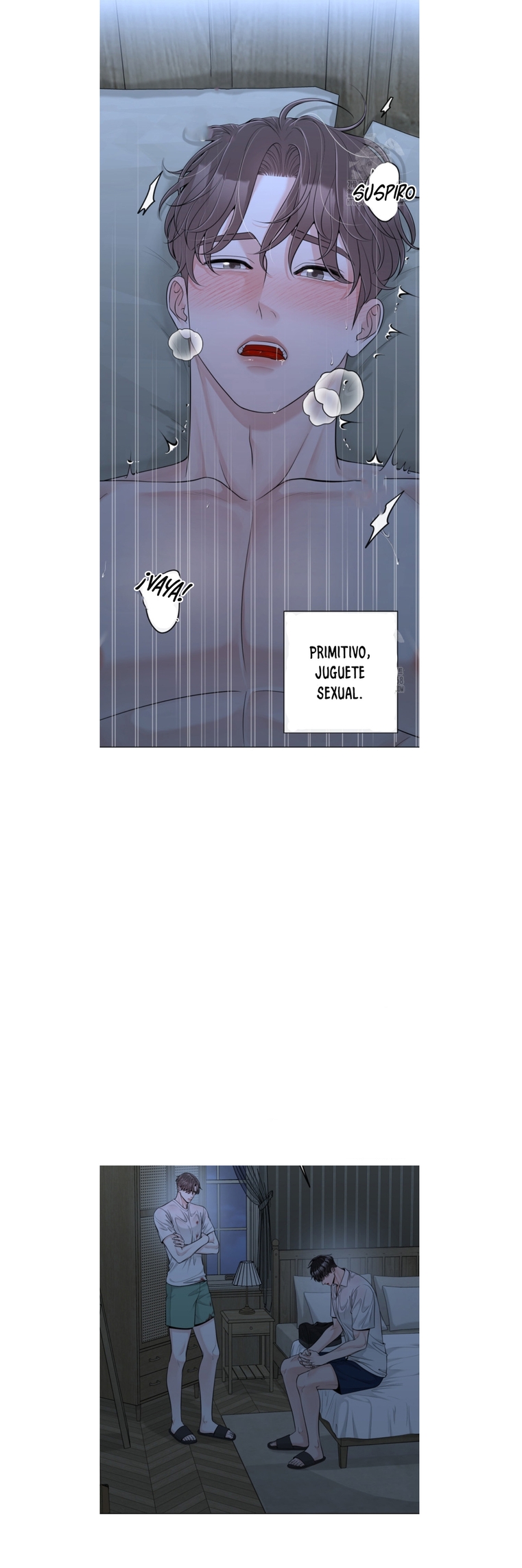 17 De elección a elección