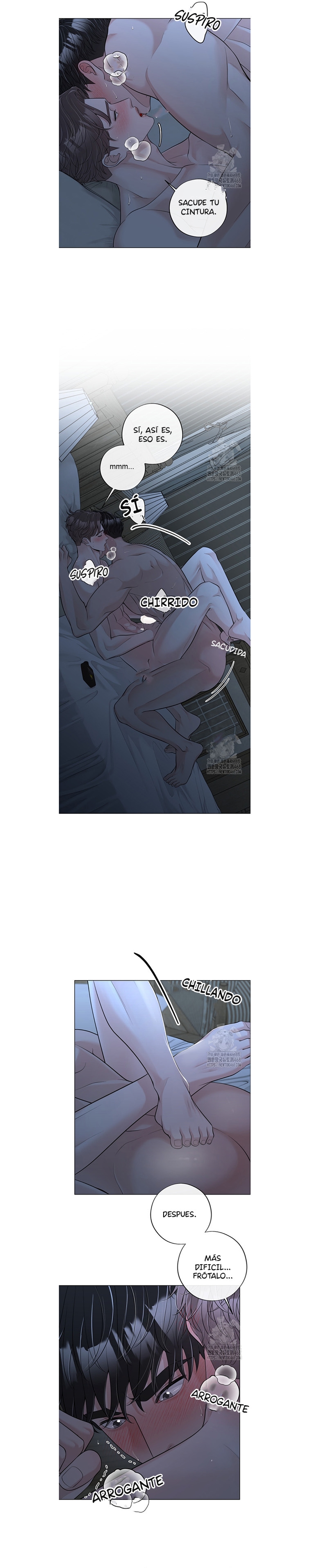 14 De elección a elección