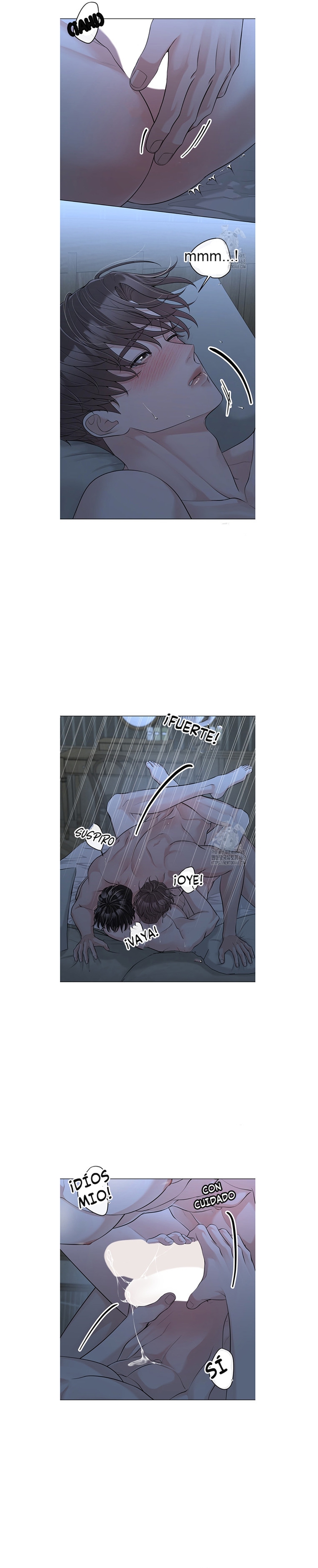 13 De elección a elección