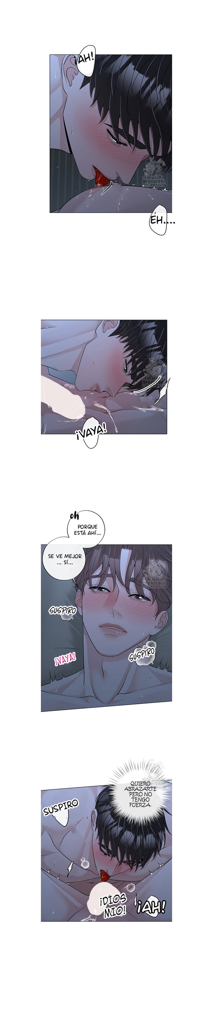 4 De elección a elección