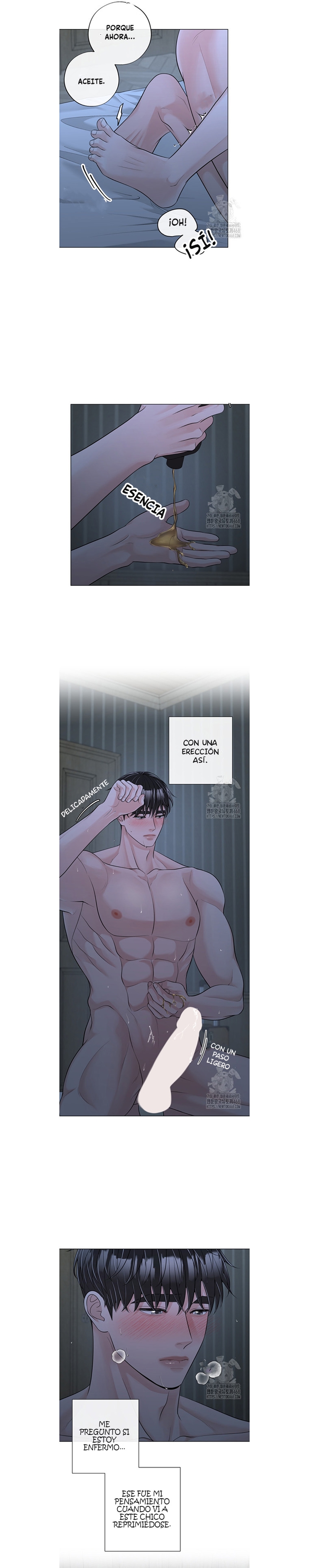 5 De elección a elección