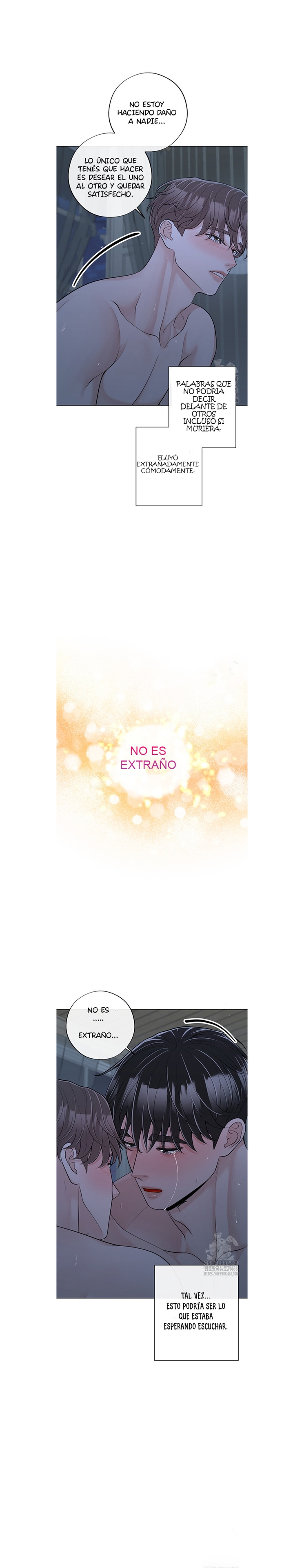 13 De elección a elección