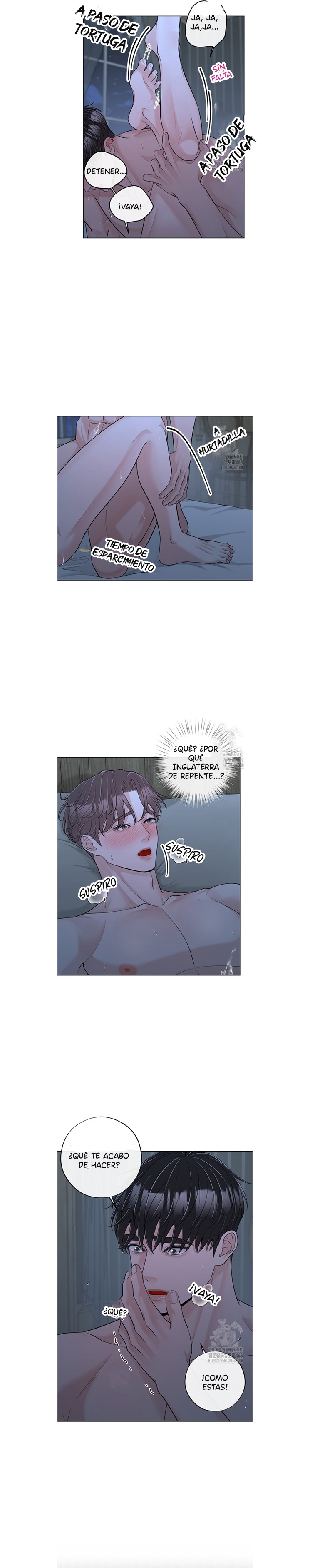 9 De elección a elección