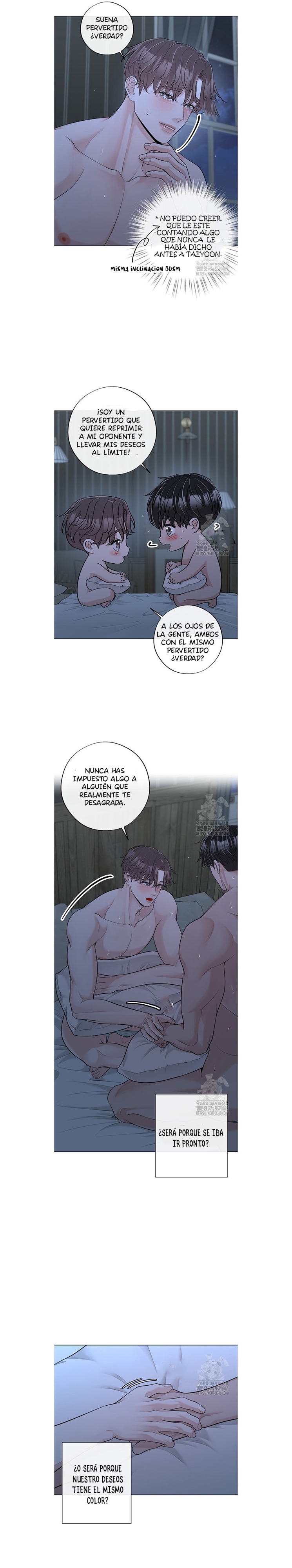 12 De elección a elección