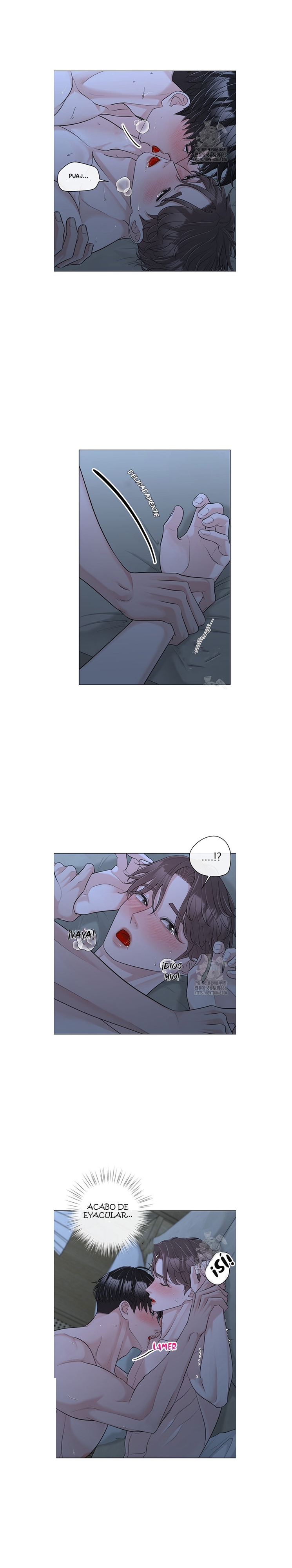 3 De elección a elección