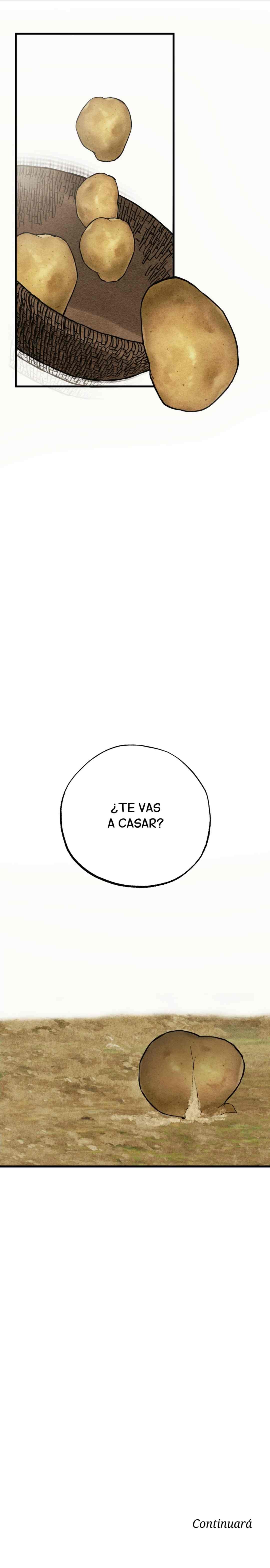 5 Causas y Trayectoría del Amor