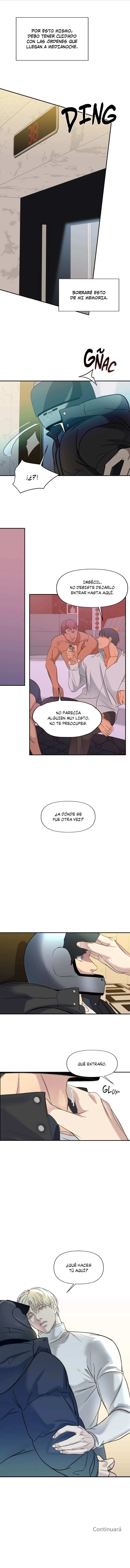 7 Contraluz