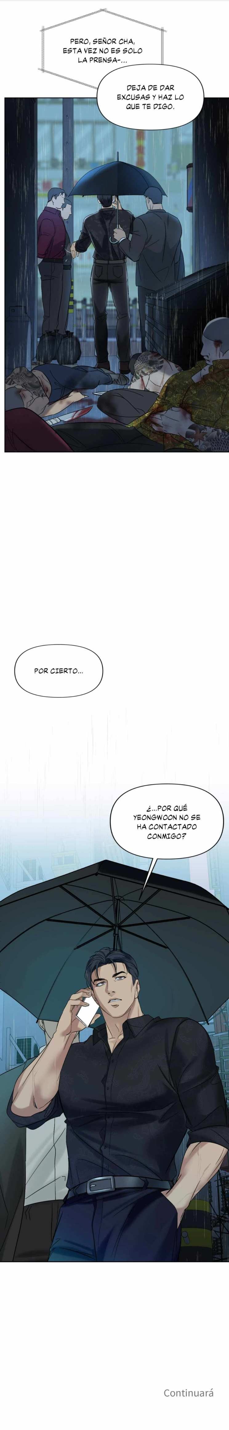8 Contraluz