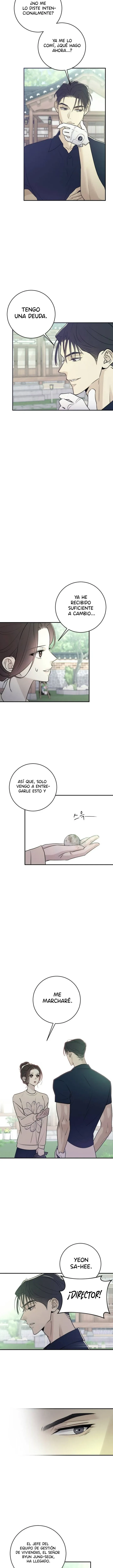 3 Amor Descarado