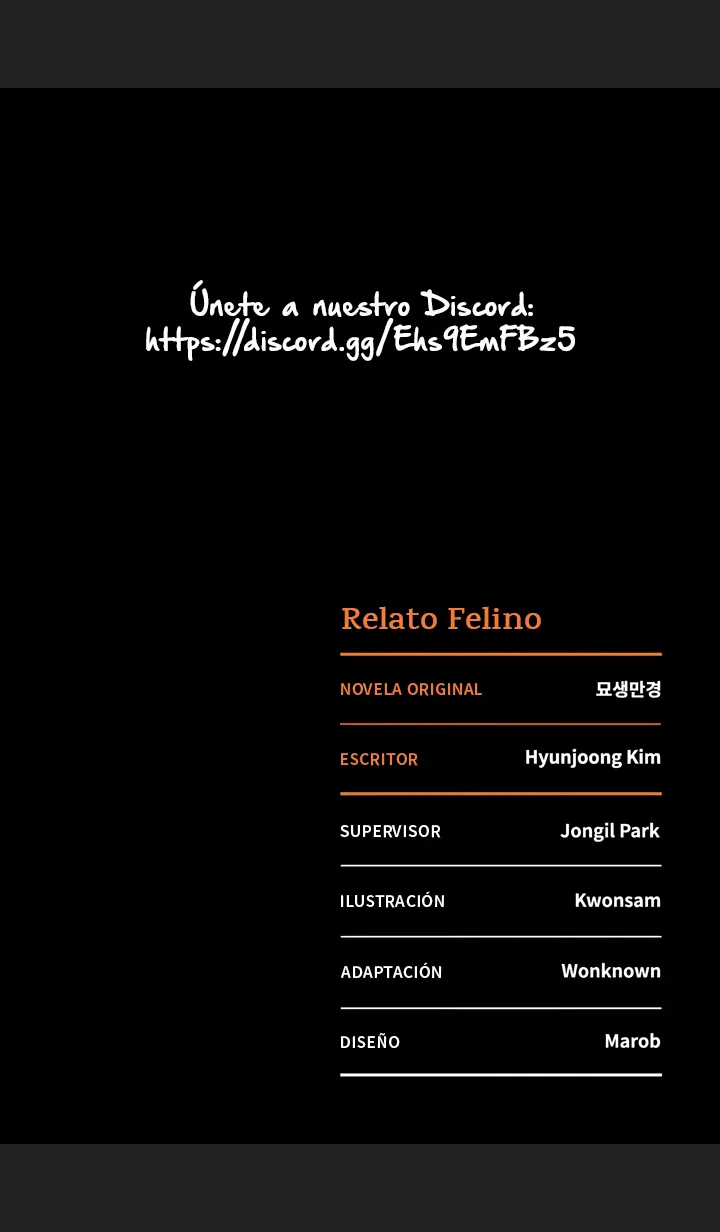 19 Relato Felino