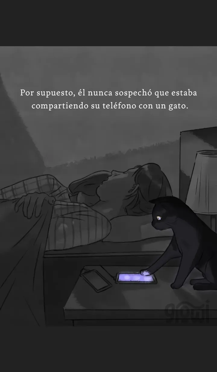 6 Relato Felino