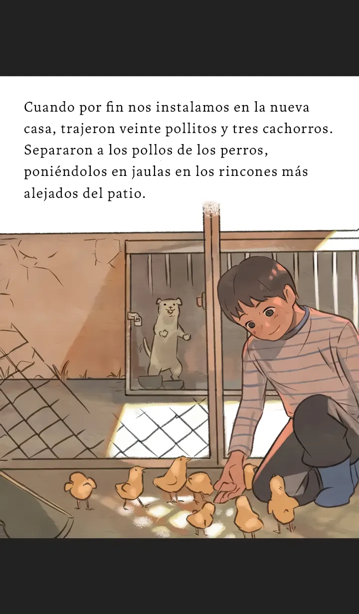 13 Relato Felino