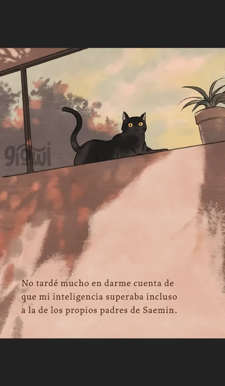 4 Relato Felino