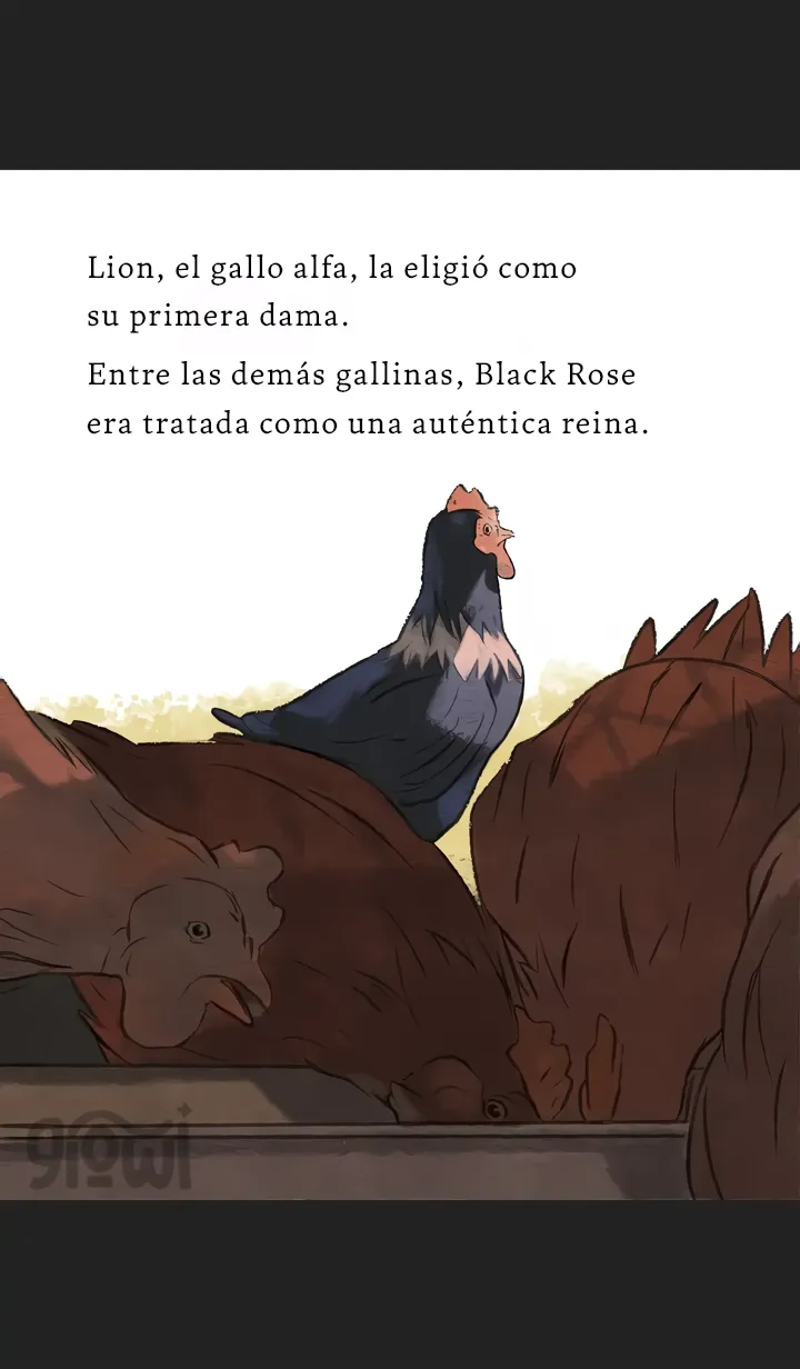 18 Relato Felino