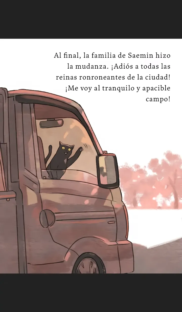 11 Relato Felino