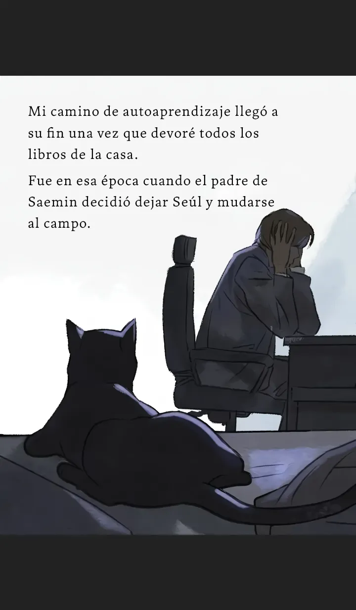 7 Relato Felino