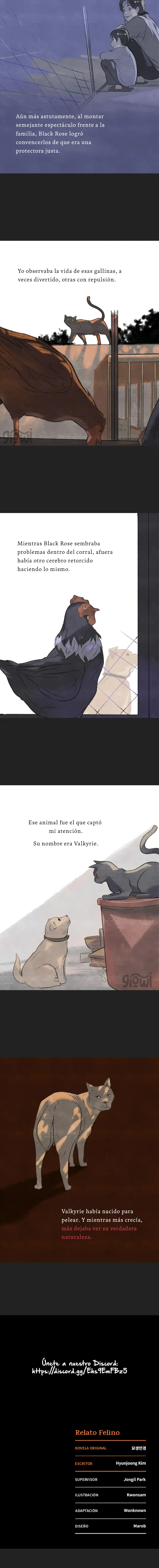 4 Relato Felino